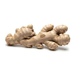 Whole fresh ginger root on a white background for cooking and health benefits