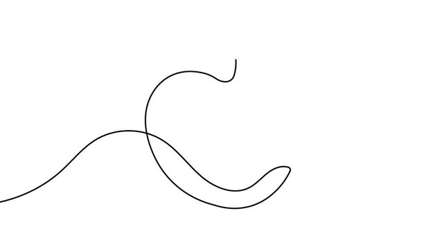 Human stomach one line outline animation