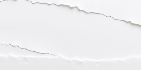 Close-up of textured white paper with jagged tears and frayed edges,  design element,  paper tear