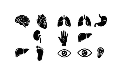 Human Body Parts Icon Set Fla...