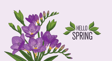 Beautiful spring greeting card design featuring a vibrant bouquet of purple freesia flowers with green leaves and 'Hello Spring' text.