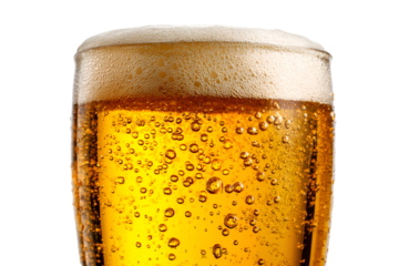 Close up of a refreshing glass of beer with foam isolated on transparent background