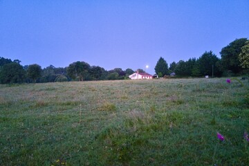 경관, 목초, 네이처, 들판, sky, 목초지, green, 나무, 여름, 시골, 농촌, 구름, 봄, 마운튼, 국가, 고개, 수평선, blue, 농장, 경치, 태양