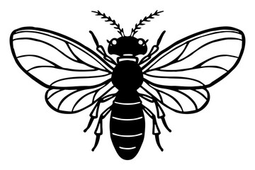 Fototapeta premium Minimalist Black and White Bee Vector Illustration