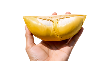 Holding a piece of ripe durian fruit in hand isolated on transparent background