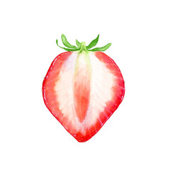 いちご　果物 断面　水彩 イラスト