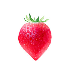 いちご　果物　水彩 イラスト