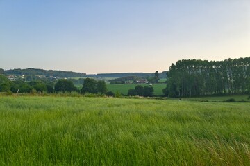 들판, 경관, 목초, sky, green, 목초지, 네이처, 여름, blue, 구름, 나무, 농촌, 봄, 시골, 경작, 국가, 수평선, 농장, 대지, 주변