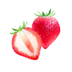いちご　果物 断面　水彩 イラスト