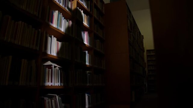 Narrow library aisle showing a distorted elongated shadow of a figure with a hat cast on a bookshelf wall by an unseen light source, chiaroscuro lighting, sense of being watched atmosphere