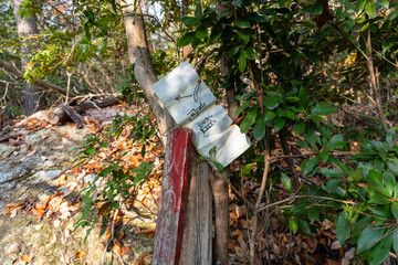 Kyoto Trail and surrounding area scenery