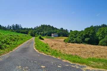 길거리, 경관, sky, 네이처, 경로, 여름, 목초, 국가, 나무, 시골, 농촌, green, 들판, 구름, 여행, 길, 봄, 때, 아스팔트, 레인, 공원, 산책로