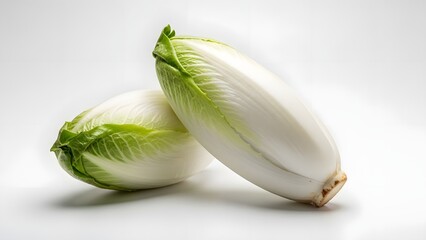 Fresh endive or escarole lettuce heads