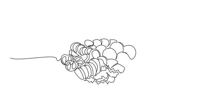 Animation of continuous line drawing of falafel balls with leaves dipping cup on a plate, an international event concept for International Falafel Day, focusing on chickpea. Full length motion