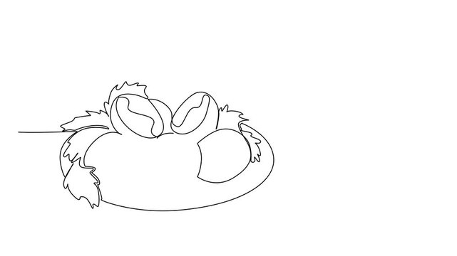 Animated self drawing of continuous line drawing of a falafel platter with pita, herbs, tahini dip, an international event concept for International Falafel Day. Full length single line animation