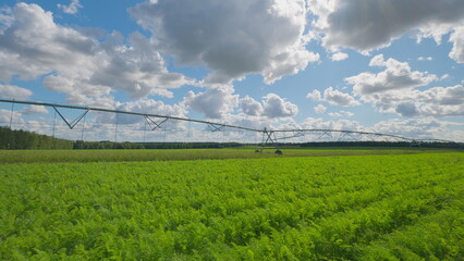 Fototapeta premium A Beautiful Vibrant Irrigated Farm Landscape Beneath a Blue Sky with Fluffy White Clouds