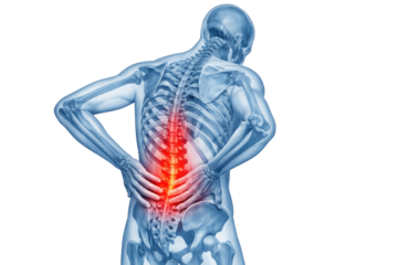 Human lower back spine pain anatomy illustration showing lumbar vertebrae inflammation skeletal system isolated on white background