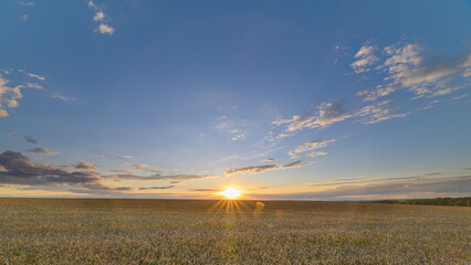 A Serene and Beautiful Sunset Over a Lush wheat Field Captured in Panoramic View