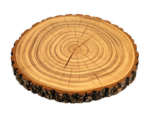 Round tree trunk wood slice cross section with natural bark edge growth rings and cracks as rustic timber display surface on isolated background