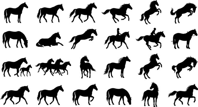 Comprehensive vector collection of black horse silhouettes featuring various poses including running, jumping, rearing, and grazing for equestrian branding, sports logos, farm mascots, and elegant ani