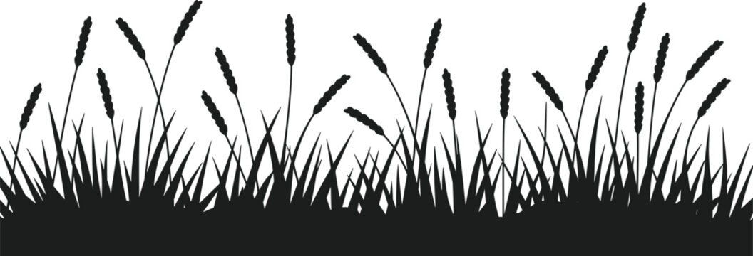 Black silhouette of tall grass stalks and blades against a white background vector 1
