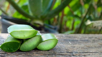 Aloe vera leaves resting on old wooden boards, natural look, room for copy space