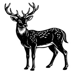 Black and white woodcut style illustration of a spotted male deer with antlers Keywords: deer, stag, buck, woodcut, illustration, black and white, animal