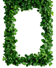 Rectangular frame made of fresh green leaves and lush foliage on transparent background

