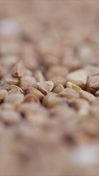 Tiny triangular grains in focus, Close examination of buckwheat groats showing triangular shapes amidst gentle light and blurred background for culinary display