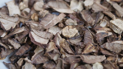 Forest mushroom imagery, Natural light emphasizes warm brown hues of forest fungi, Rustic sliced forest mushrooms with earthy tones showcased for gourmet food presentation