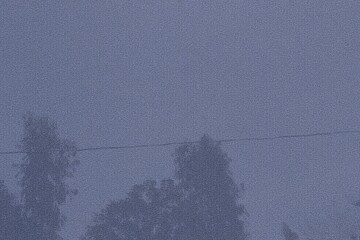 misty outdoor sky with tree shadows, low visibility and quiet abstract 