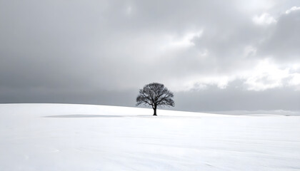雪原に一本の木