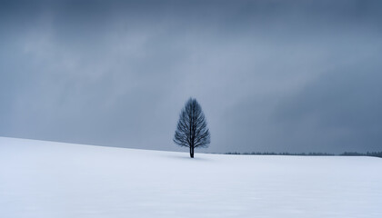 雪原に一本の木