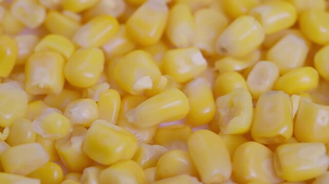Shiny corn kernels, Glistening yellow corn kernels for culinary photography use, Vivid canned sweet corn showcasing glossy texture and appealing presentation for marketing
