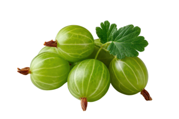 Pile of ripe green gooseberries with a single leaf on black background gooseberry berry, Isolated On White Background, Png Transparent