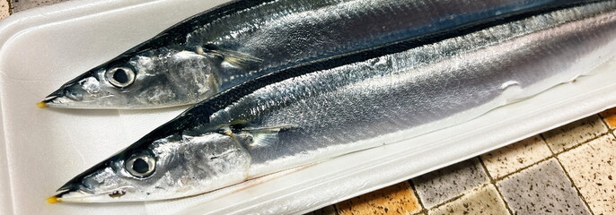 秋刀魚_さんま
