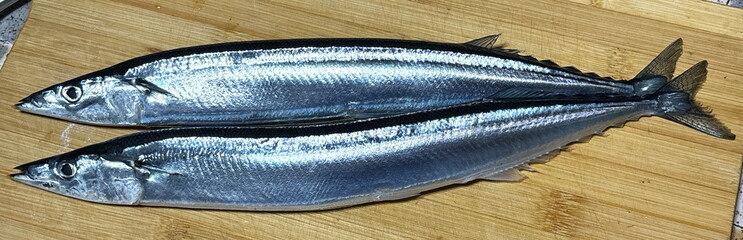 秋刀魚_さんま