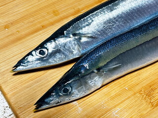 秋刀魚_さんま