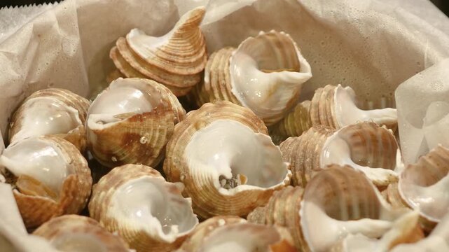 アツアツの湯気が出てる蒸篭の動画。新鮮な蒸しツブ貝。