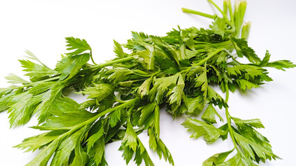 Fototapeta premium Bunch of fresh leaf celery stalks and leaves isolated on white background.