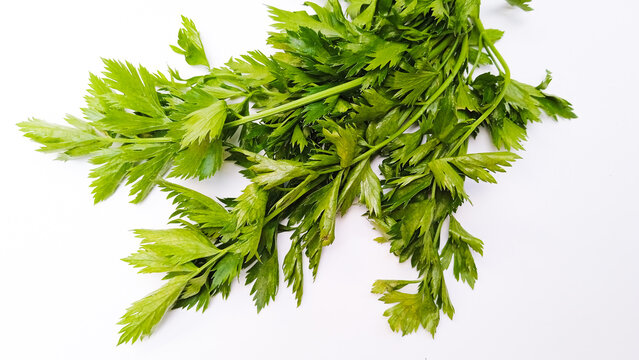 Bunch of fresh leaf celery stalks and leaves isolated on white background.