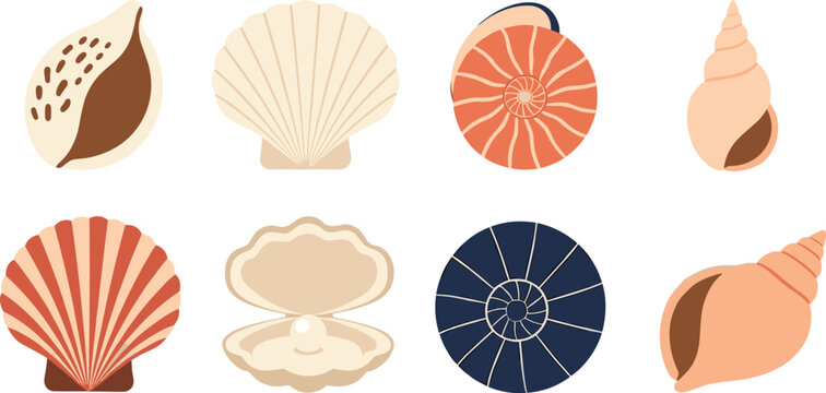 Sea shell vector illustration set with various ocean shells including scallop oyster with pearl spiral conch and colorful nautical elements isolated on white background