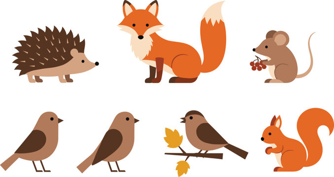 Forest animal vector illustration set featuring cute fox hedgehog squirrel mouse and brown birds isolated on white background for autumn nature and wildlife design projects