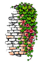 Ivy covered brick wall illustration with green leaves and pink flowers