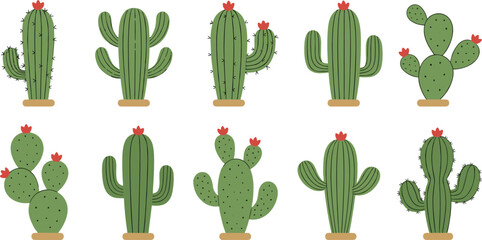 Cute cactus illustration set featuring colorful desert plants with flowers for decor, kids design, and nature themes © Rumi