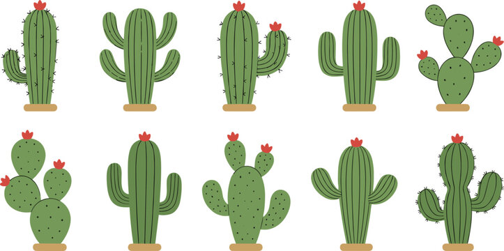 Cute cactus illustration set featuring colorful desert plants with flowers for decor, kids design, and nature themes