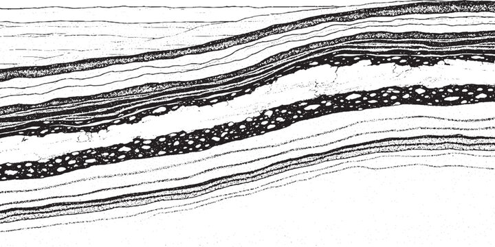 Abstract geological strata with distinct layers and textures.