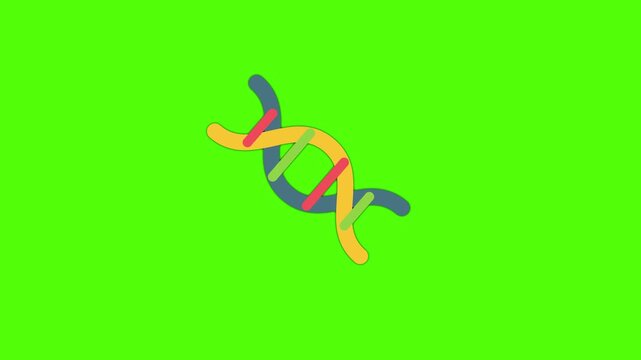 DNA Strand in Study: A brightly colored DNA double helix model, set against a vibrant green backdrop, symbolizes the foundation of life and genetic research.