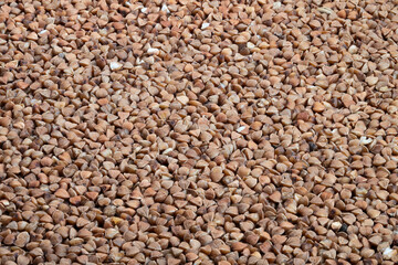 Fototapeta premium Buckwheat pattern backdrop, Background with evenly spread buckwheat grains for mockup use, Textured flatlay of buckwheat groats showcasing consistent pattern in neutral shades