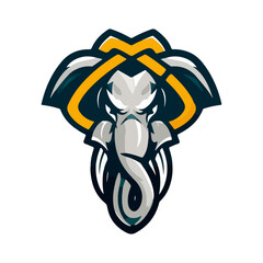 Elephant vector mascot logo design, emblem and tshirt printing. Elephant head illustration with celtic knot ornament